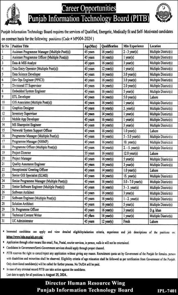 Punjab information technology board jobs